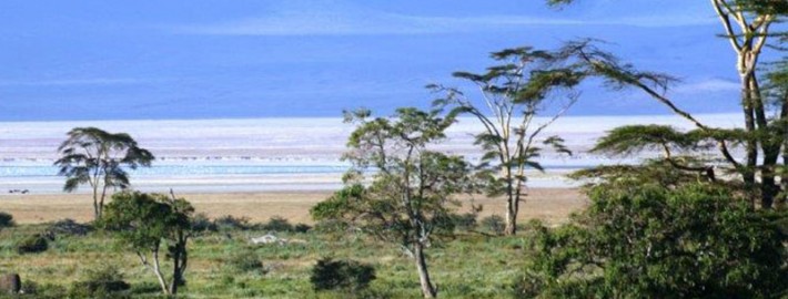 Ngoragora